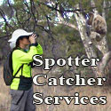 Spotter Catcher add